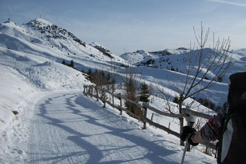 Scialpinistica al Farno e al Pizzo Formico con passaggio al Rifugio Parafulmen il 27 febbraio 2010 -  FOTOGALLERY